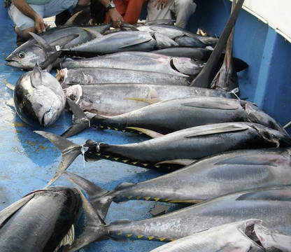 Nick Caruso Enterprises, Inc.-Belmar必去景点