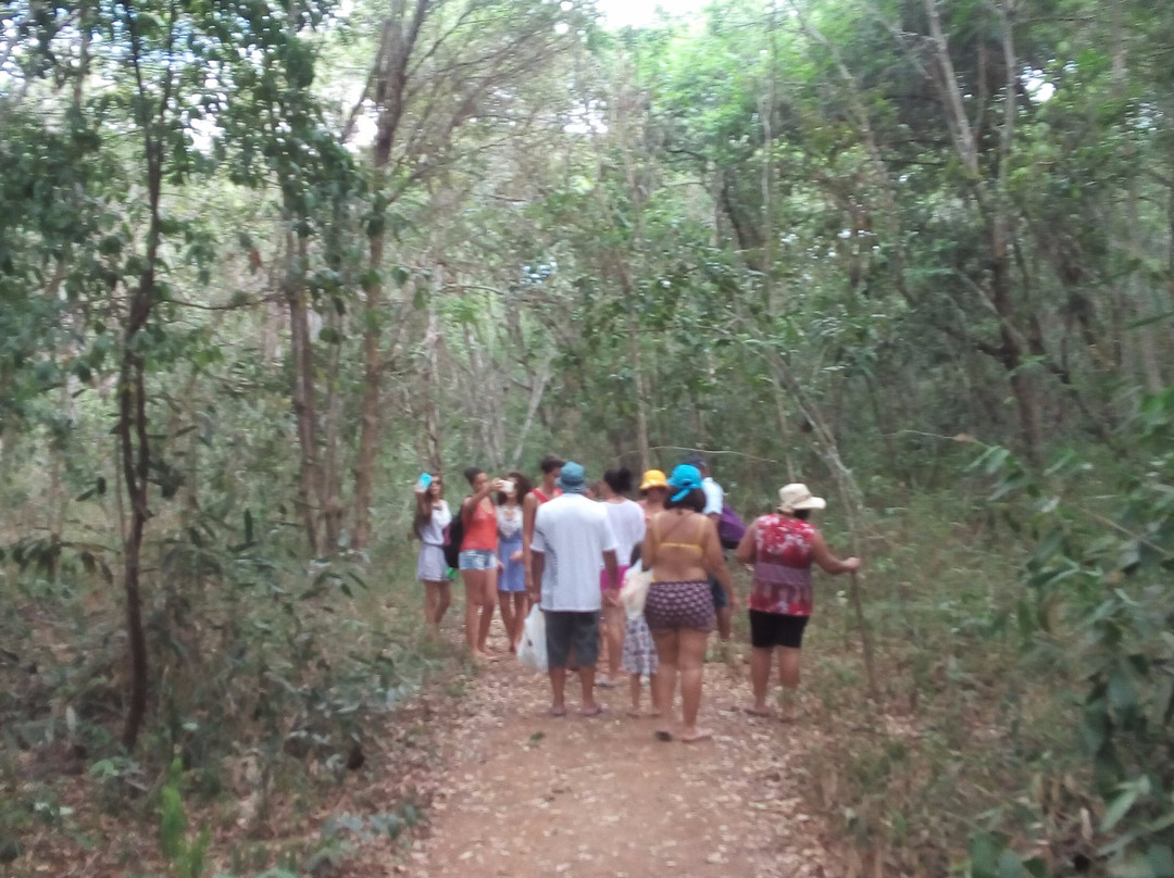 Cachoeira Véu de Noiva-Jacobina必去景点