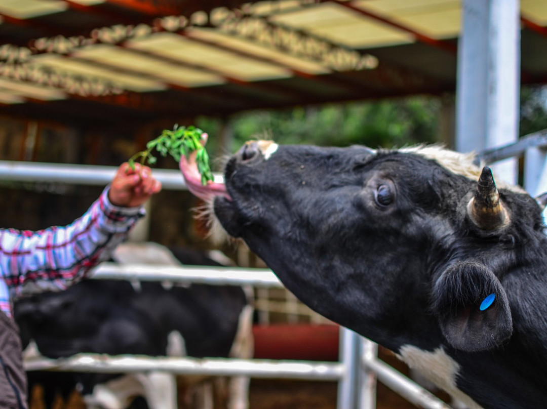 Granja Integral San Martin-墨西哥城必去景点