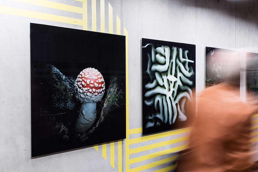 Welle7-伯尔尼必去景点