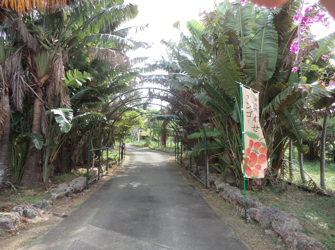 Tropical Fruits Park-宫古岛市必去景点