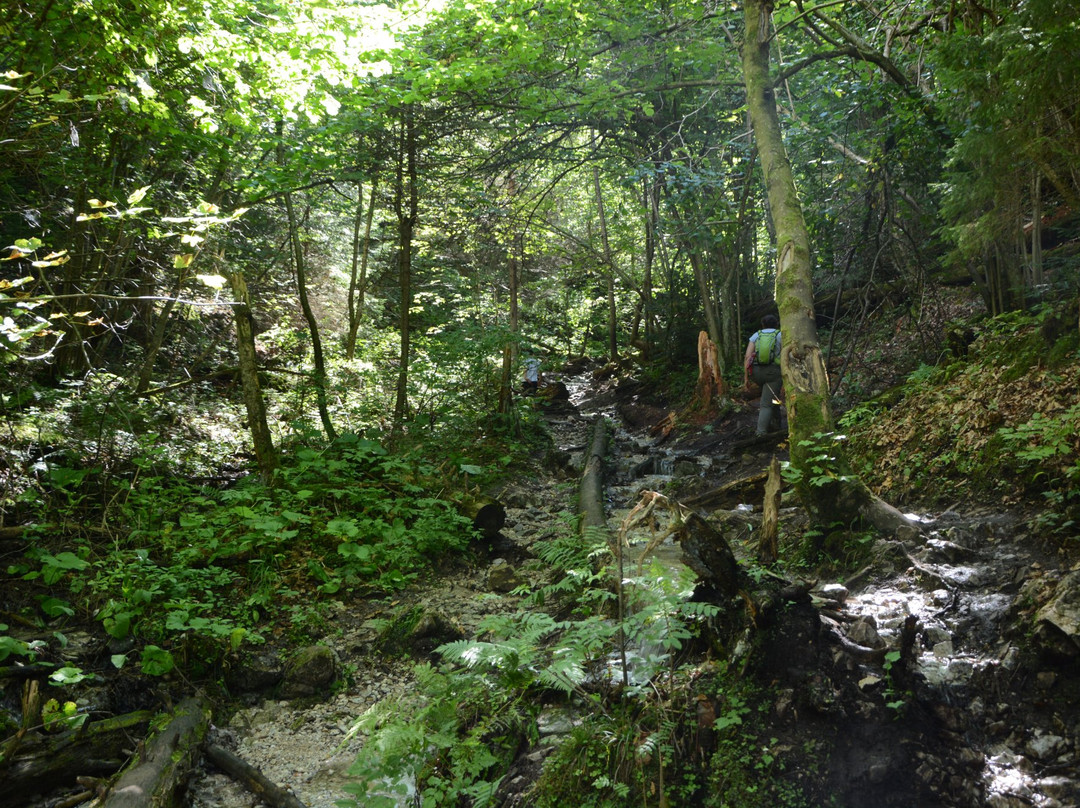 Hrabusice旅游景点-Monastery Gorge