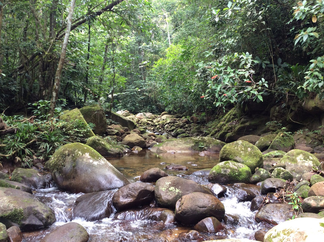 Circuitos Ecoturísticos Alto Shilcayo y Adyacentes-Tarapoto必去景点