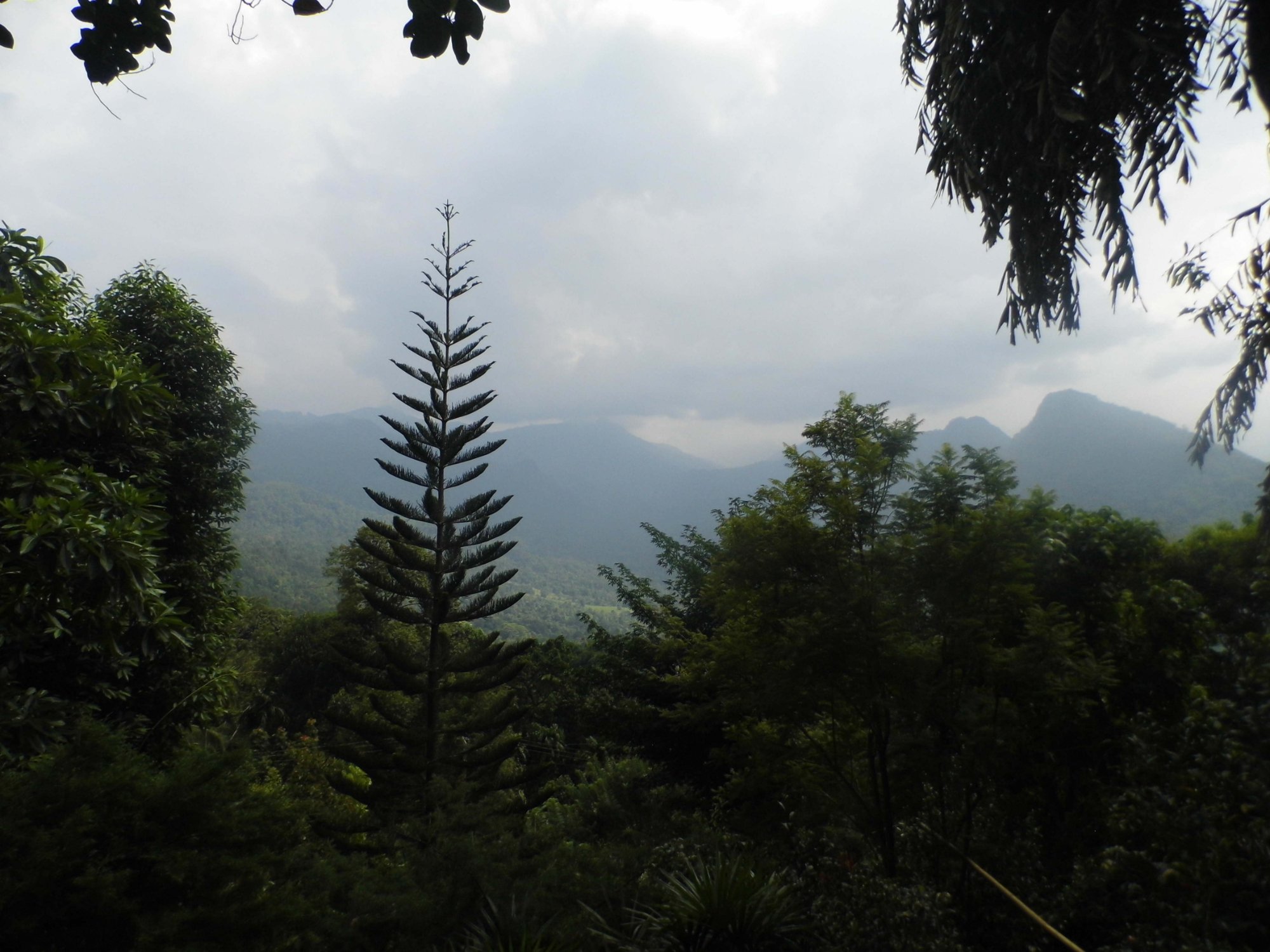 Fern Hill Resorts Kitulgala-酒店景观