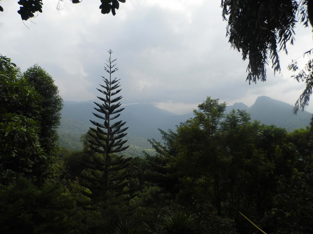 Ginigathena酒店住宿-Fern Hill Resorts Kitulgala