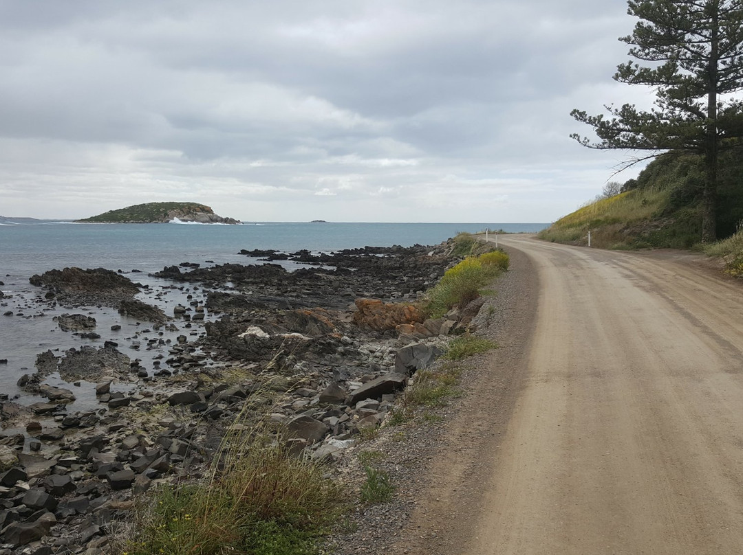 Encounter Bikeway-维克多港必去景点