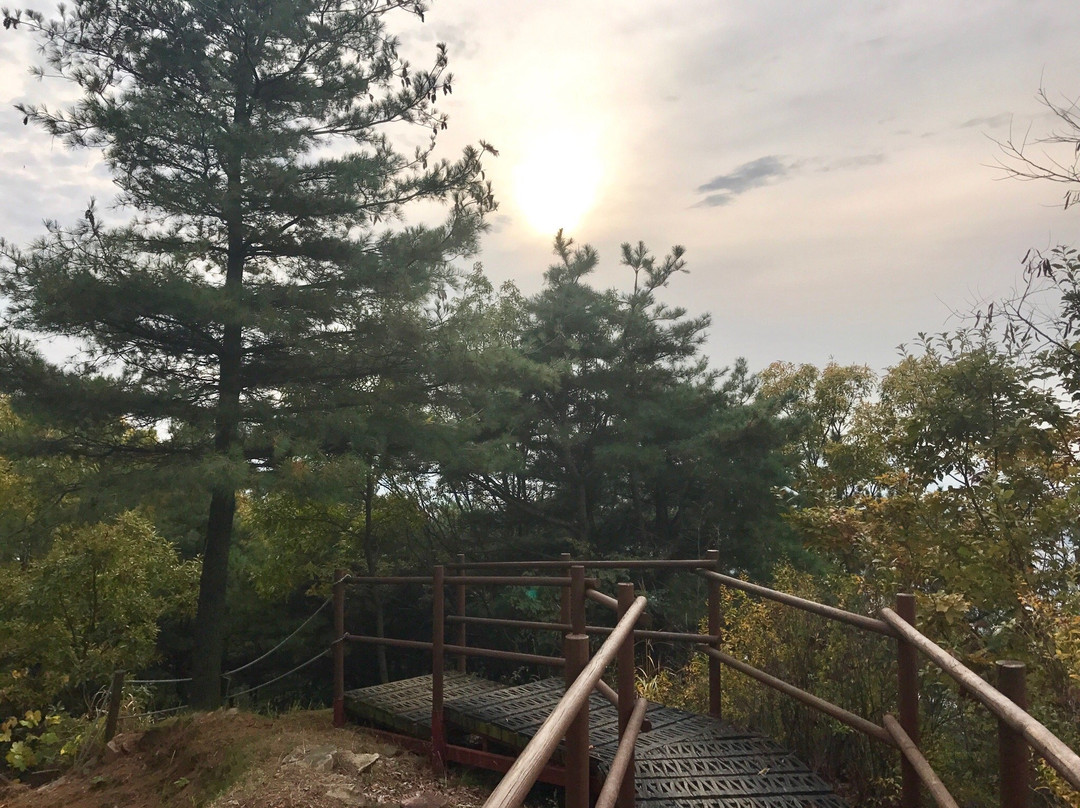 Samil Park-清州市必去景点