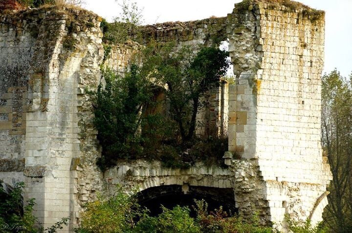 Ruines de l'Abbaye Notre Dame de Clairmarais景点图片