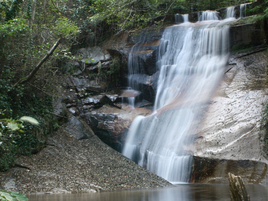 Montseny旅游攻略图片