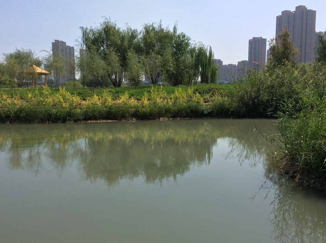 兰州银滩湿地公园景点图片