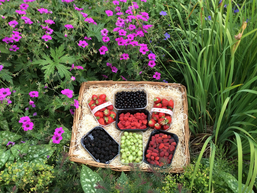 Malones Fruit Farm-Ballon必去景点