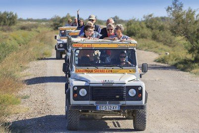 Camargue Alpilles Safaris-阿尔勒必去景点