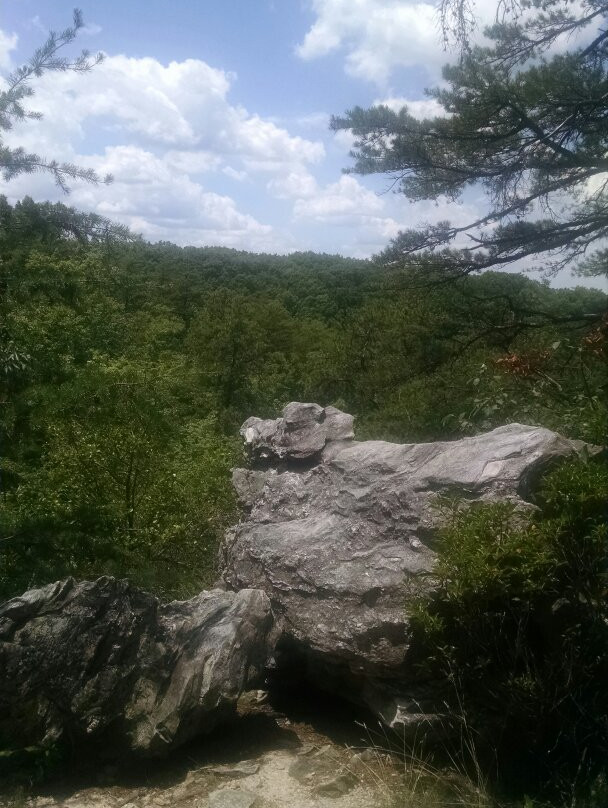 Tory's Falls景点图片