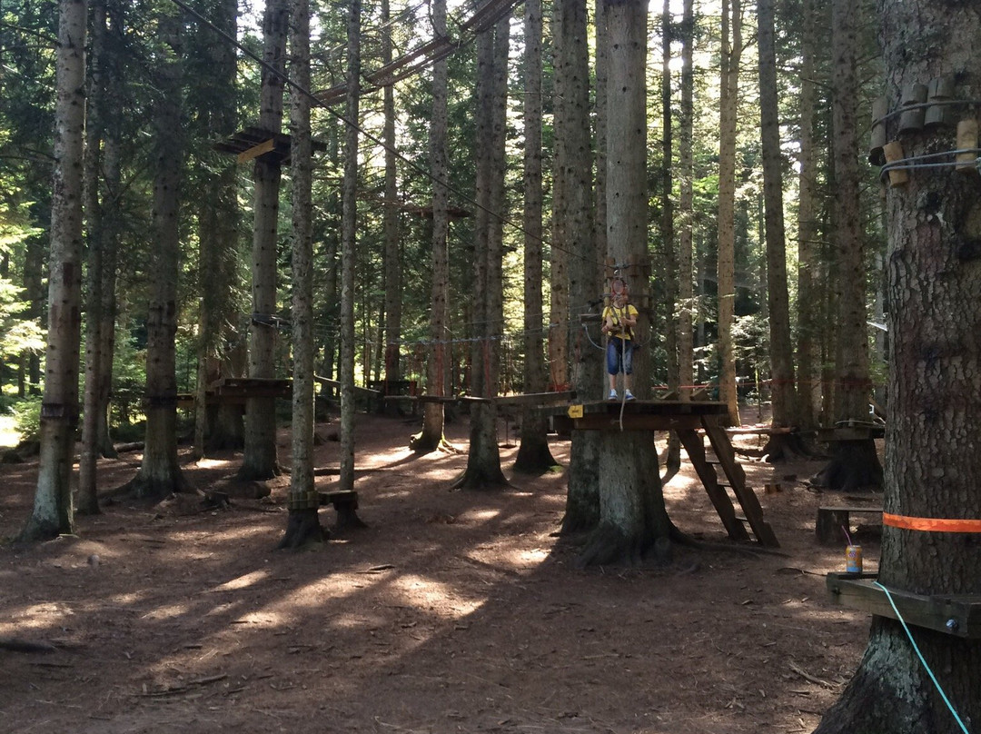 Parcours Aventure de l'Ecureuil景点图片