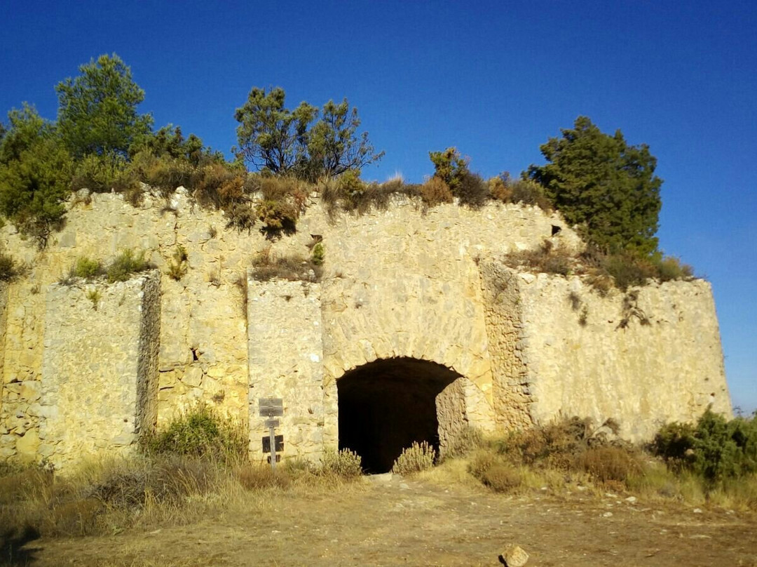 Cava Don Miguel景点图片