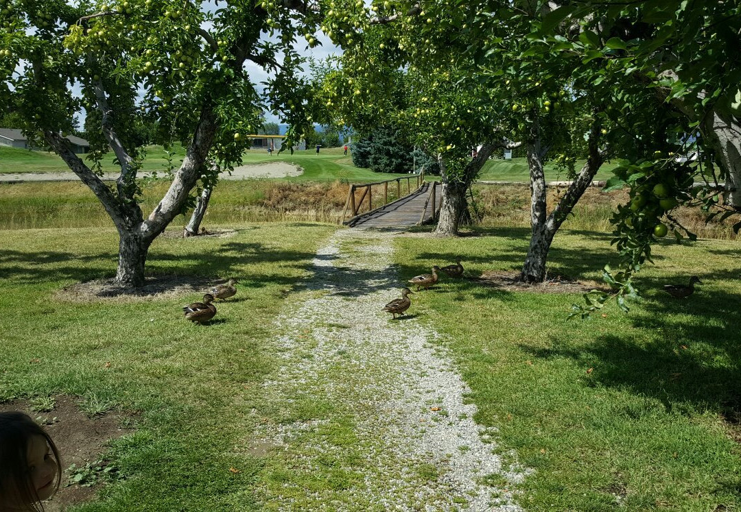 Orchard Greens Golf Club-基洛纳必去景点