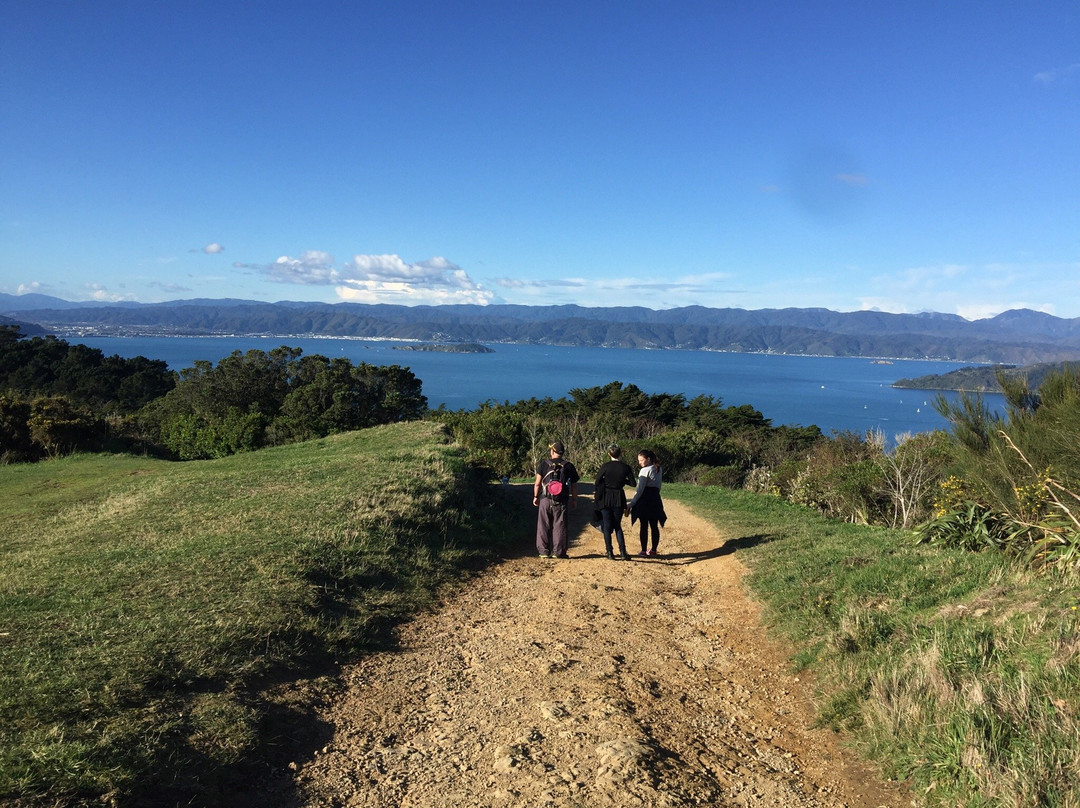 Tinakori Hill-惠灵顿必去景点