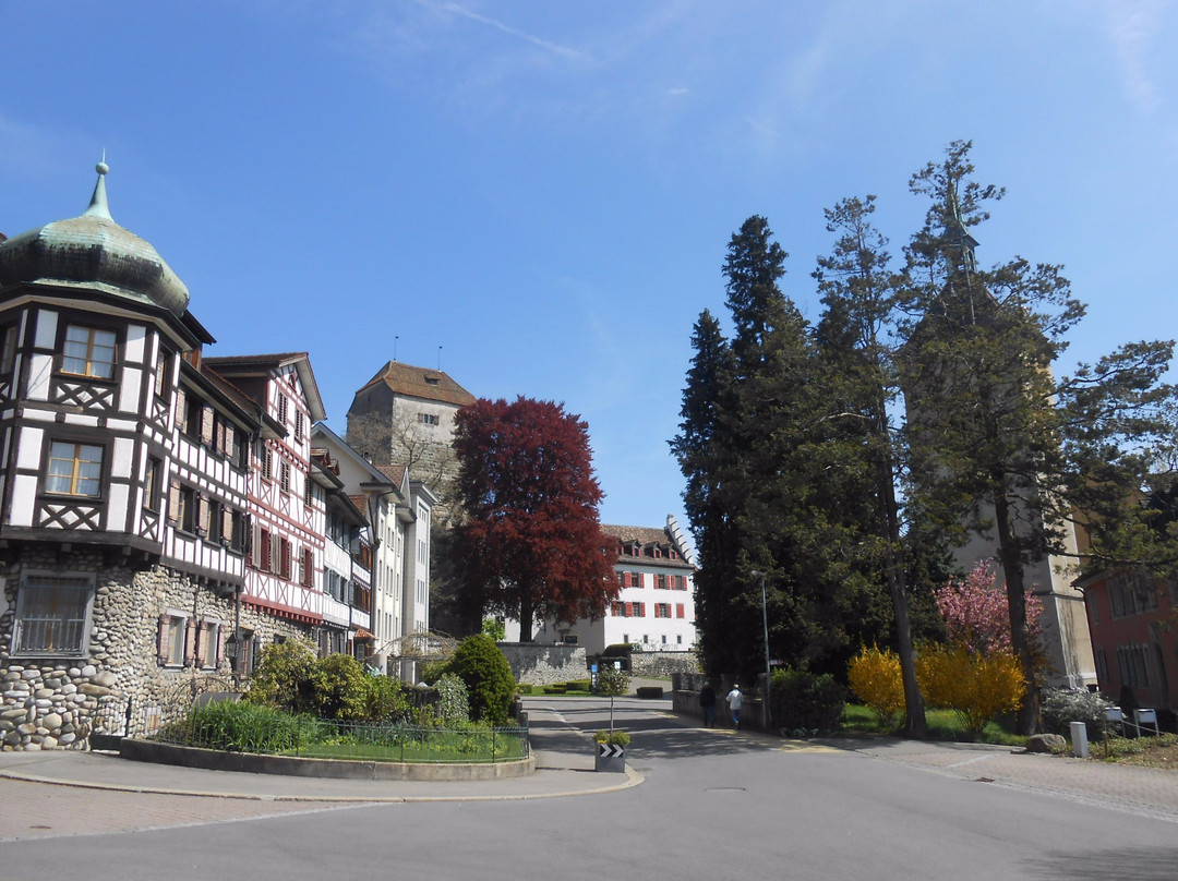 Schloss Arbon