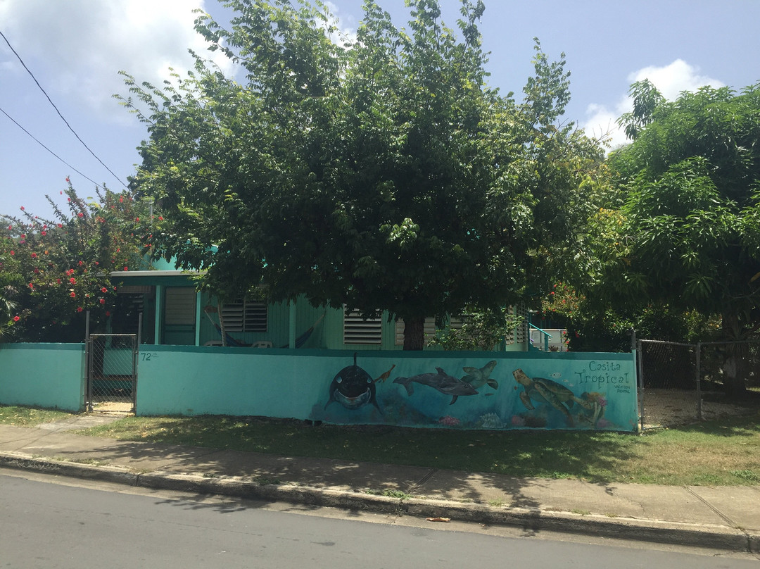 库莱布拉岛酒店住宿-Casita Tropical Inn