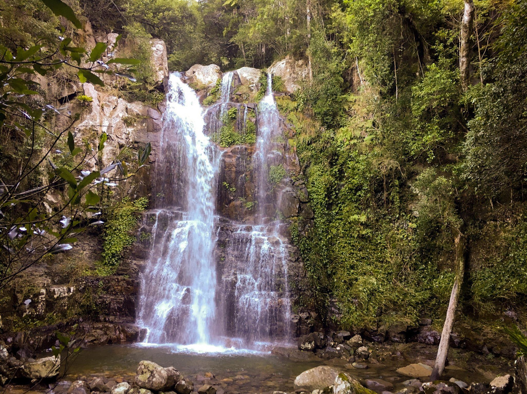 Minnamurra Falls景点图片