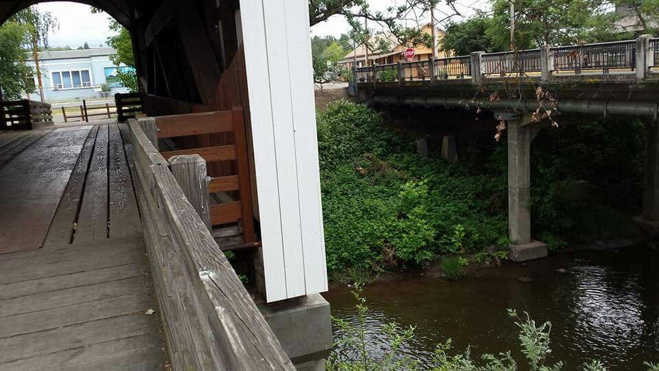 Antelope Creek Bridge-Eagle Point必去景点