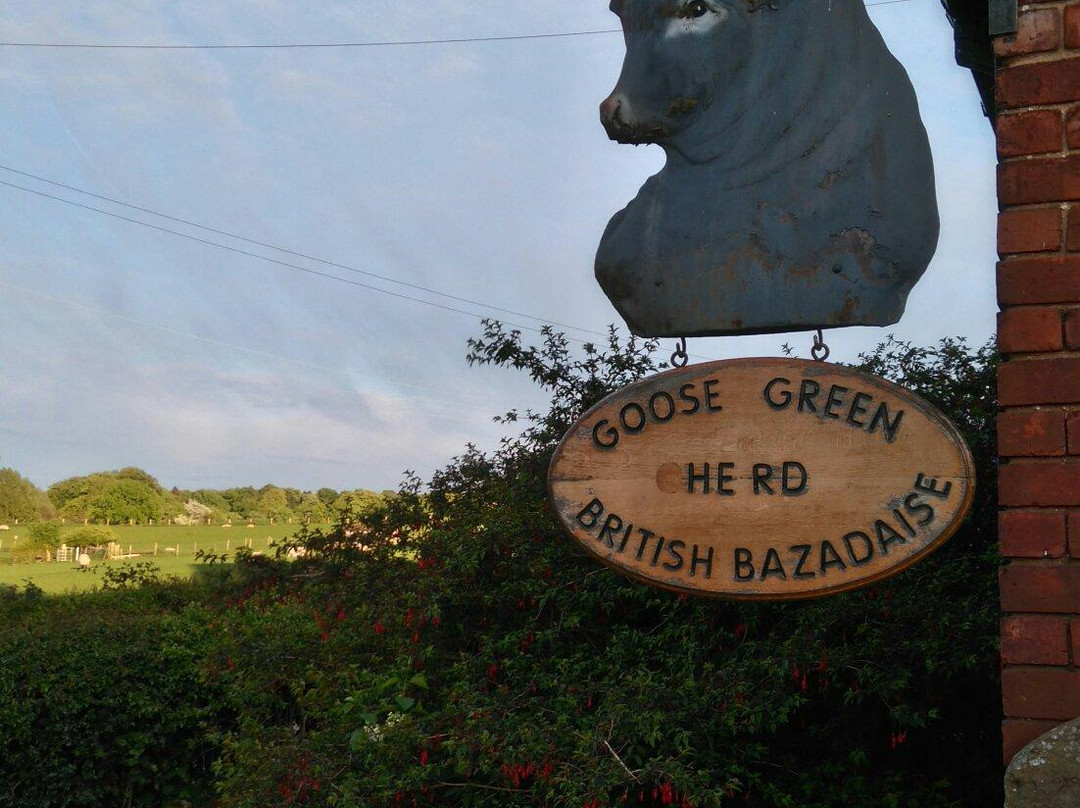 Goose Green Farm主图