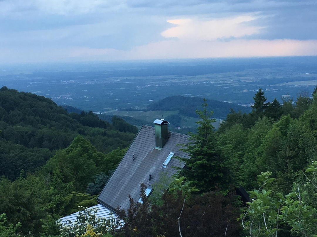 Sasbachwalden酒店住宿-Berghof Gruner Baum