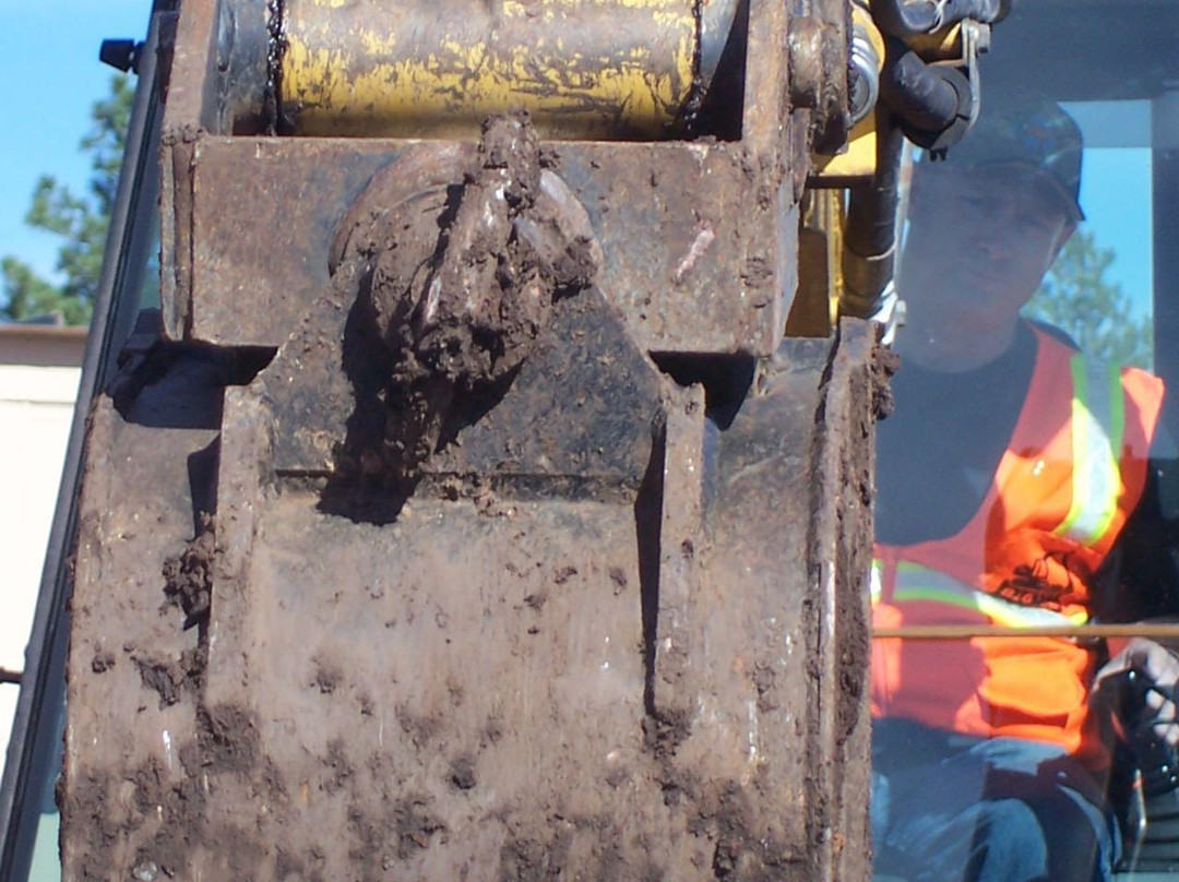 Big Toy Playground-威廉姆斯必去景点