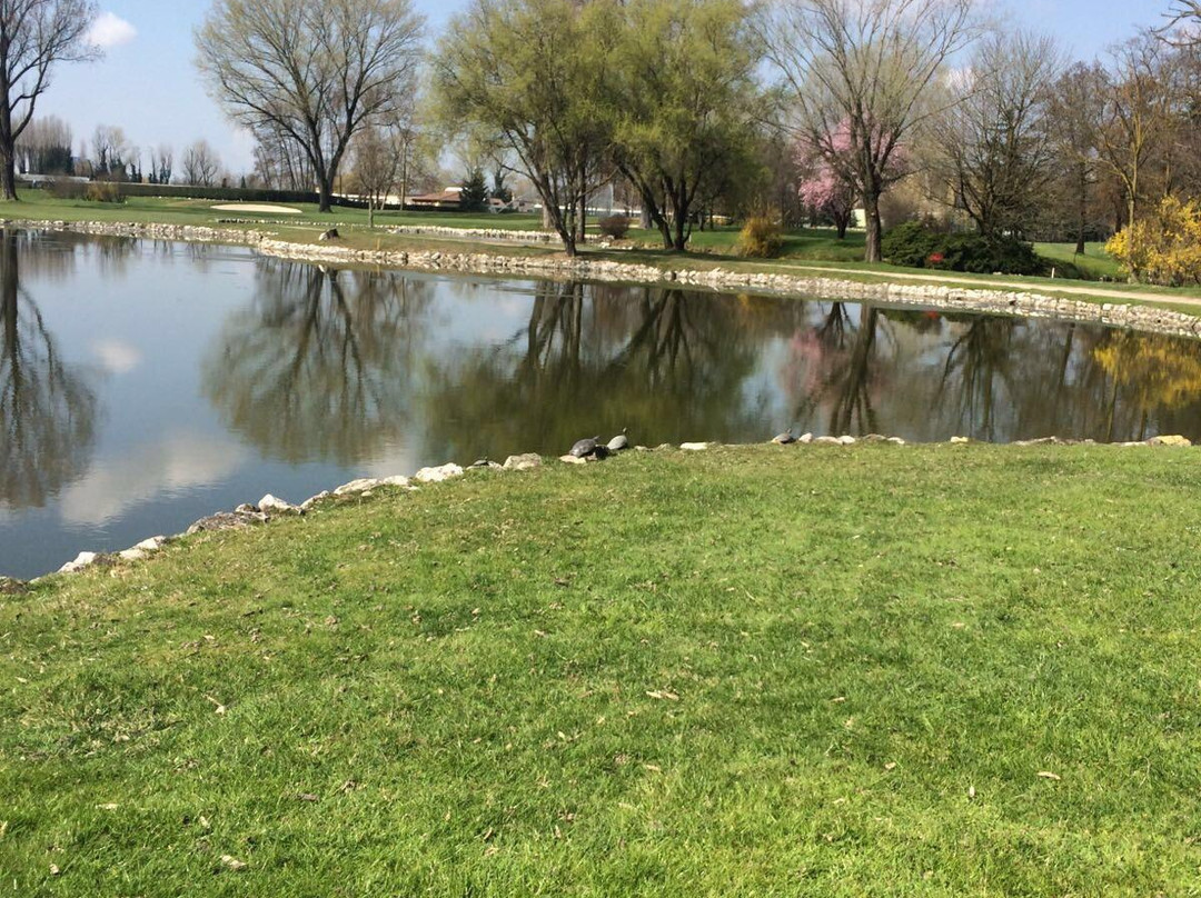 Golf Club Le Rovedine景点图片
