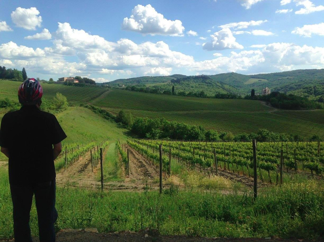 Bike Around Tuscany-格雷韦伊恩基亚恩蒂必去景点