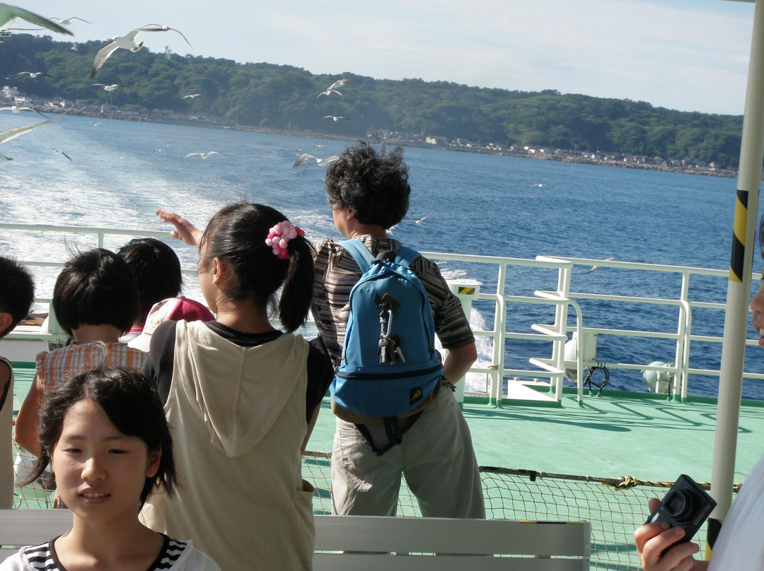 Tobishima Island-酒田市必去景点