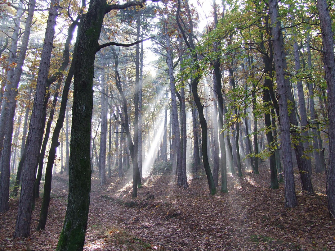 Lover Kalandpark Sopron-修普伦必去景点