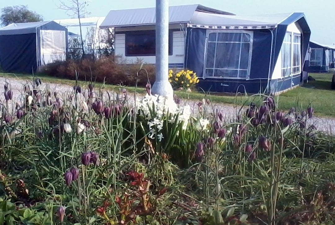 Elsegårde Camping - Ebeltoft