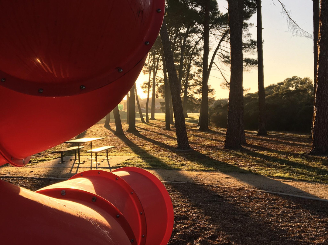The Grange Reserve - UFO Park-克莱顿必去景点