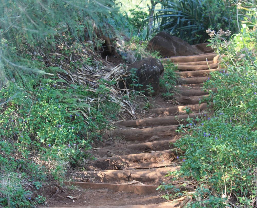 Hanakoa Falls-哈纳雷伊必去景点