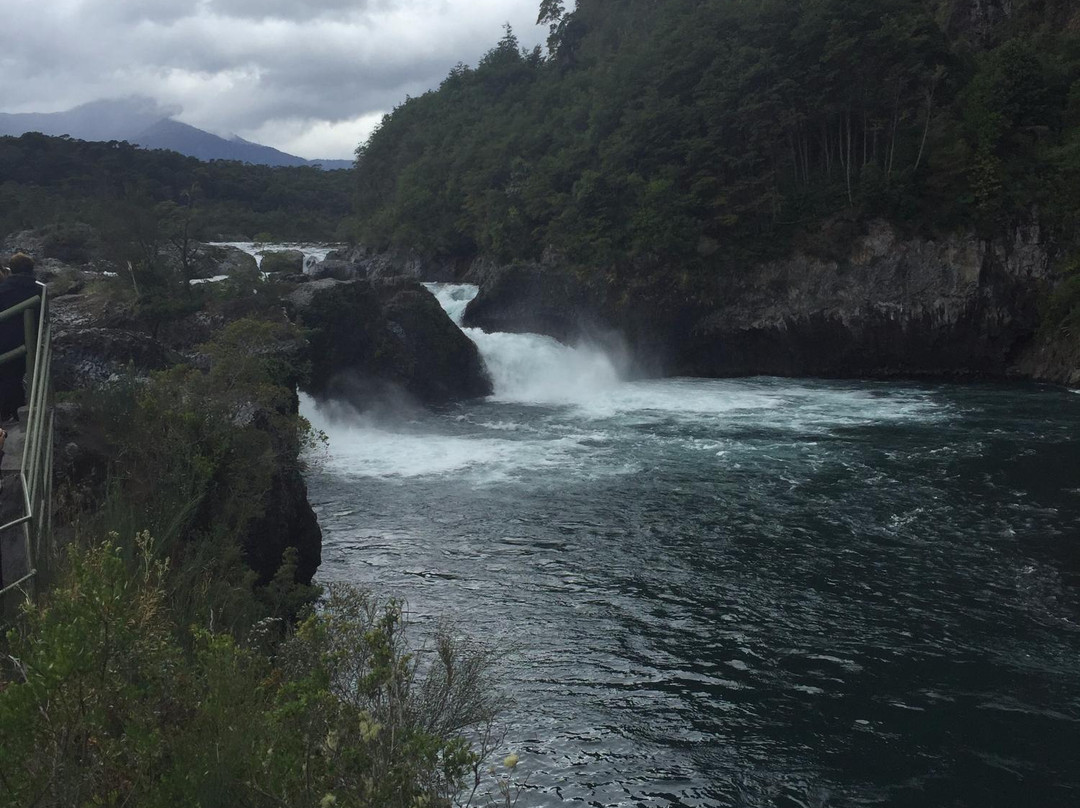 Expediciones Petrohue-巴拉斯港必去景点