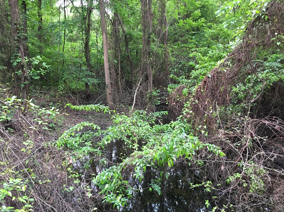 Lake Tawakoni State Park-Wills Point必去景点