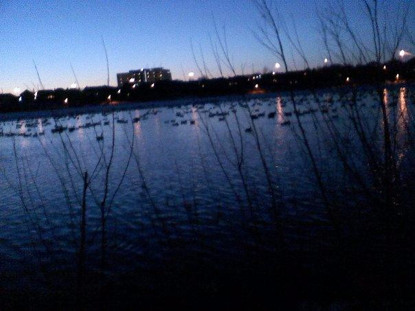 Professor's Lake Recreation Centre-布兰普敦必去景点