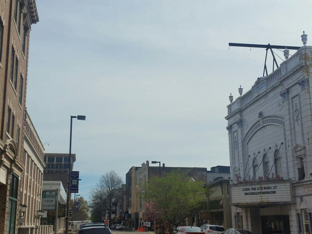LowerTown Arts District-帕迪尤卡必去景点