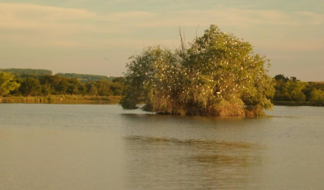 Lagos del Norte-Rivera必去景点