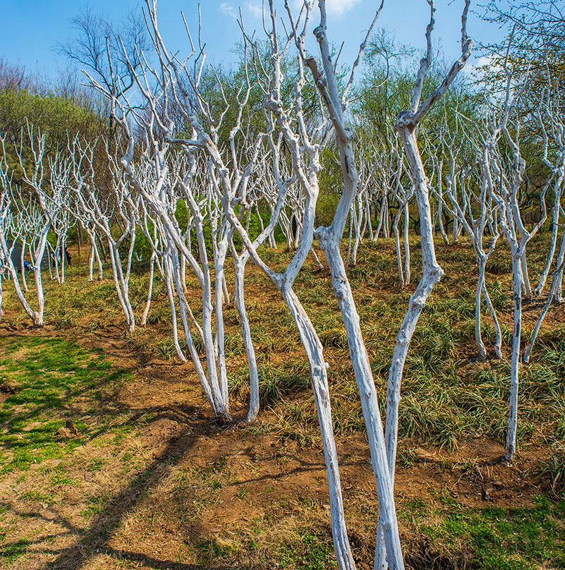 泉城公园-济南市必去景点