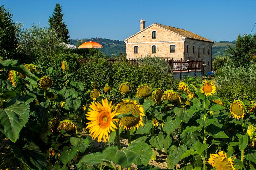 Agriturismo  Piagge del Sole