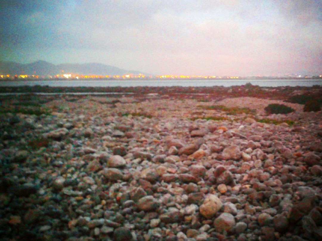 Playa des Codolar-伊维萨必去景点