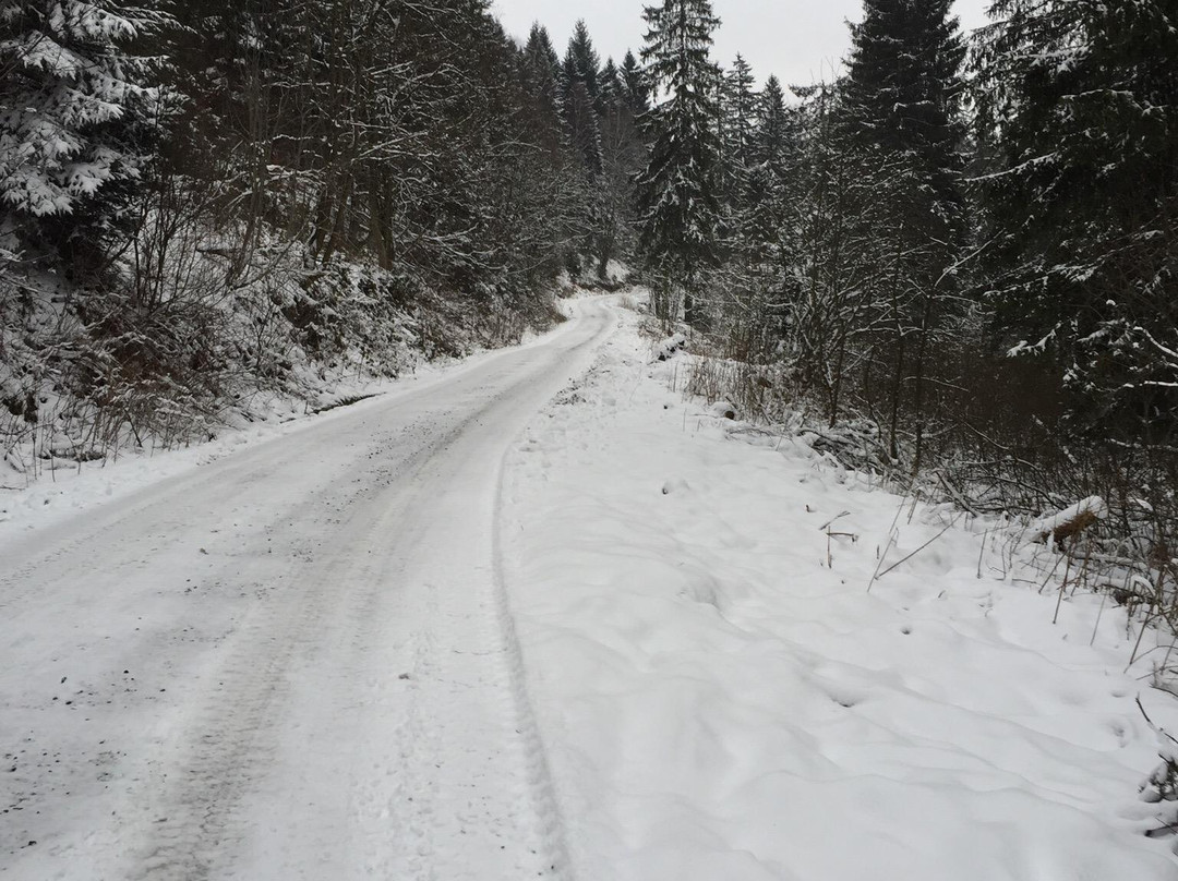 BSW - Erlebnishotel Festenburg主图