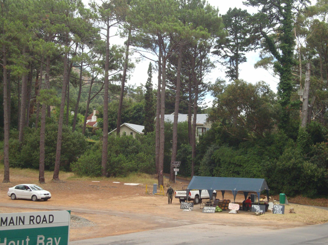 Cape Town Travel n Tours-开普敦中心区必去景点