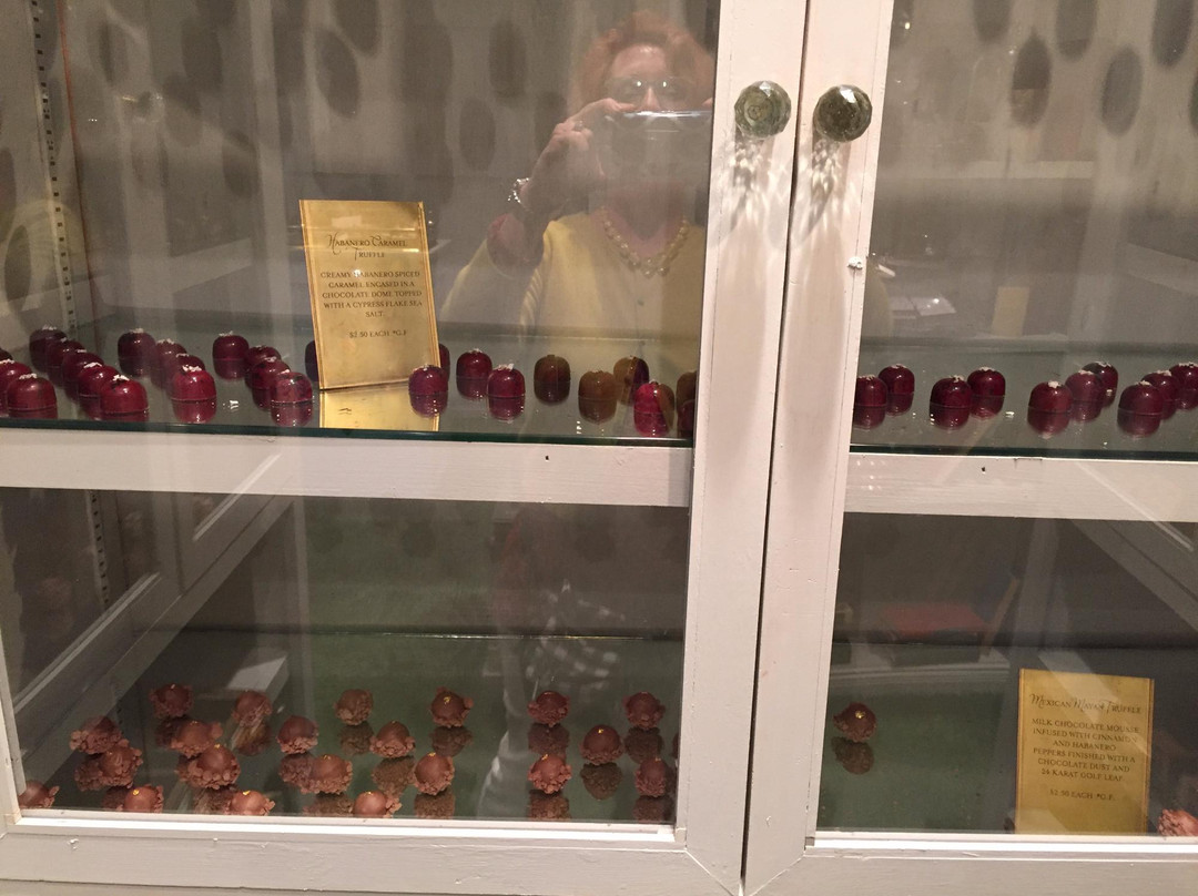 Chocolat by Adam Turoni-萨凡纳必去景点