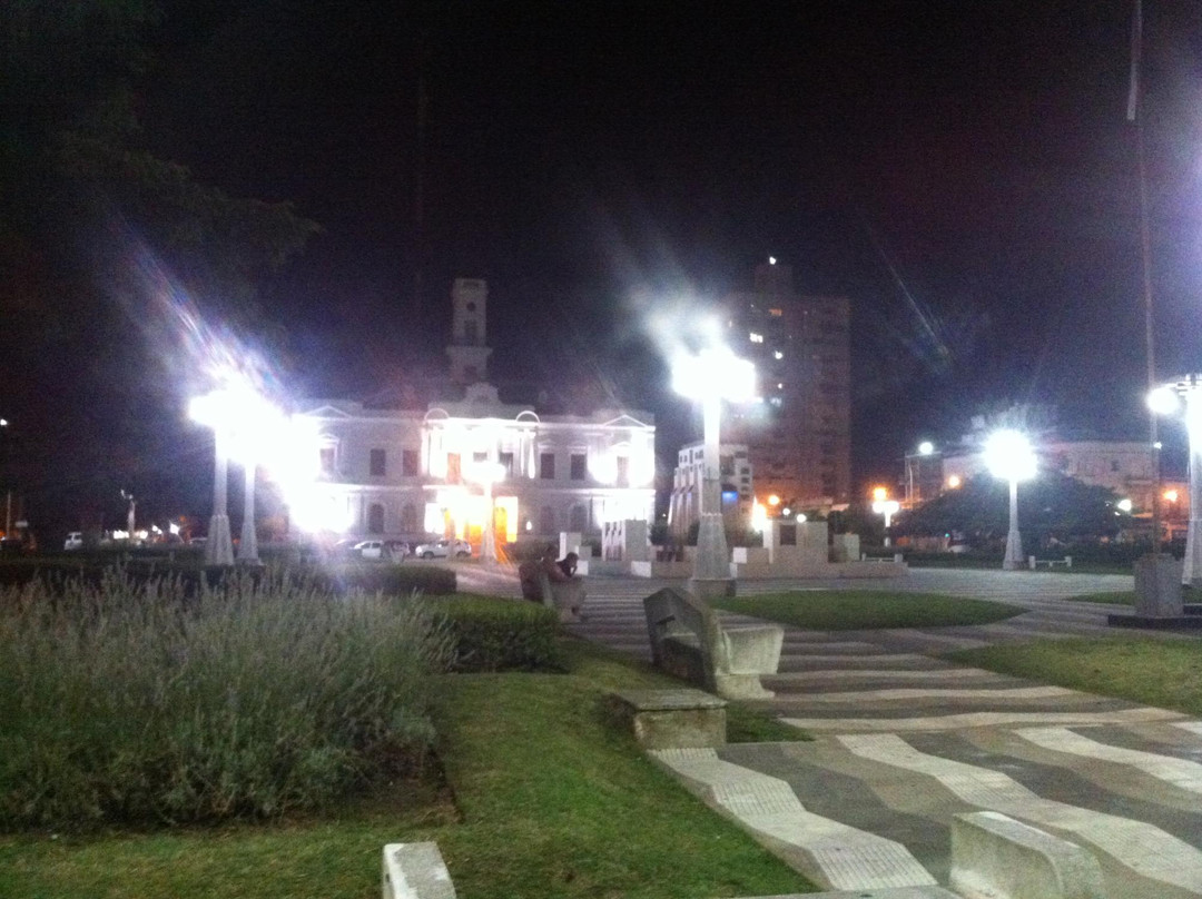 Plaza San Martin景点图片