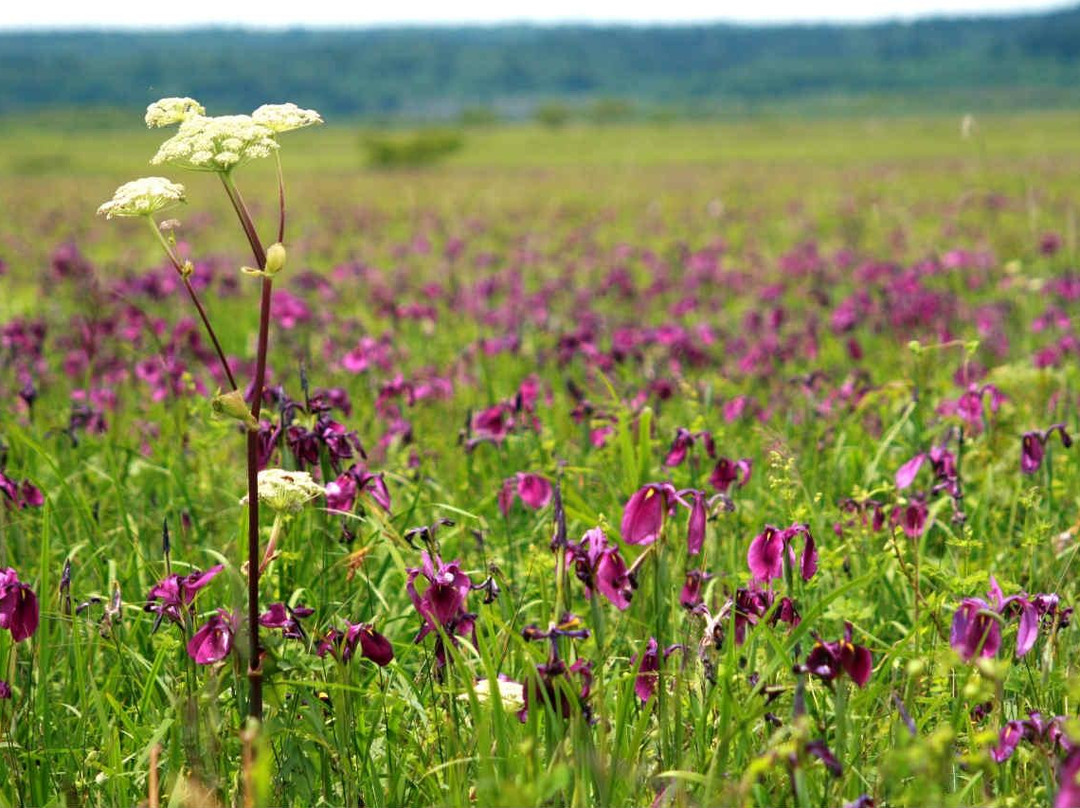 甘地路-滨中町必去景点