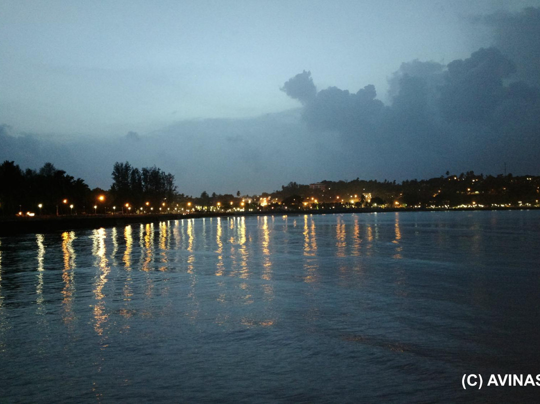 Andaman Dolphin-布莱尔港必去景点