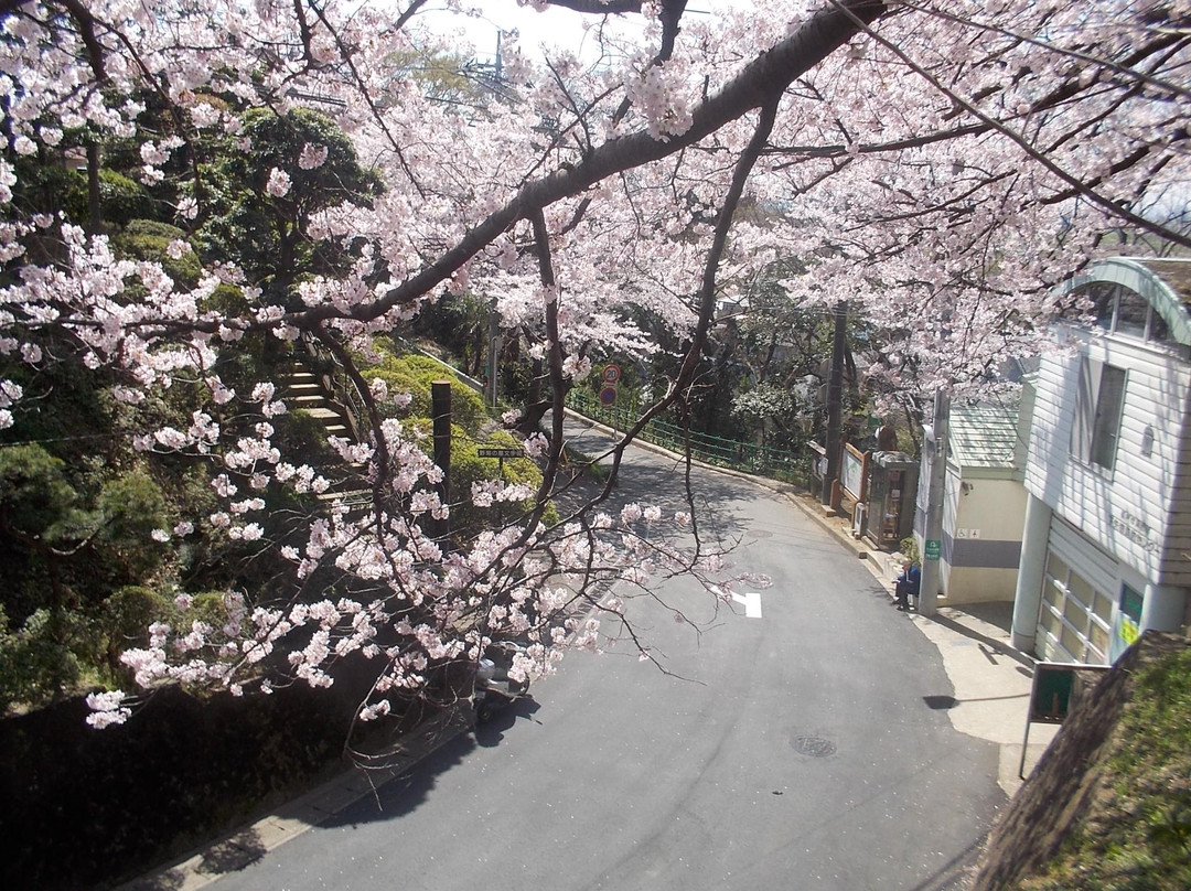 Nogiku No Haka Bungaku Hi-松户市必去景点